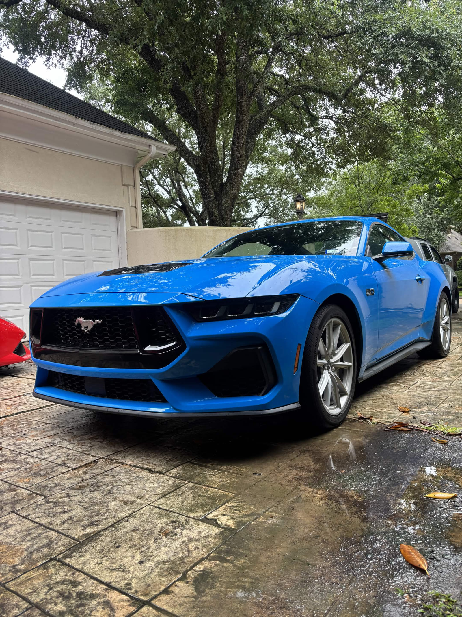 Bright blue Ford Mustang 5.0 on wet driveway after detailing