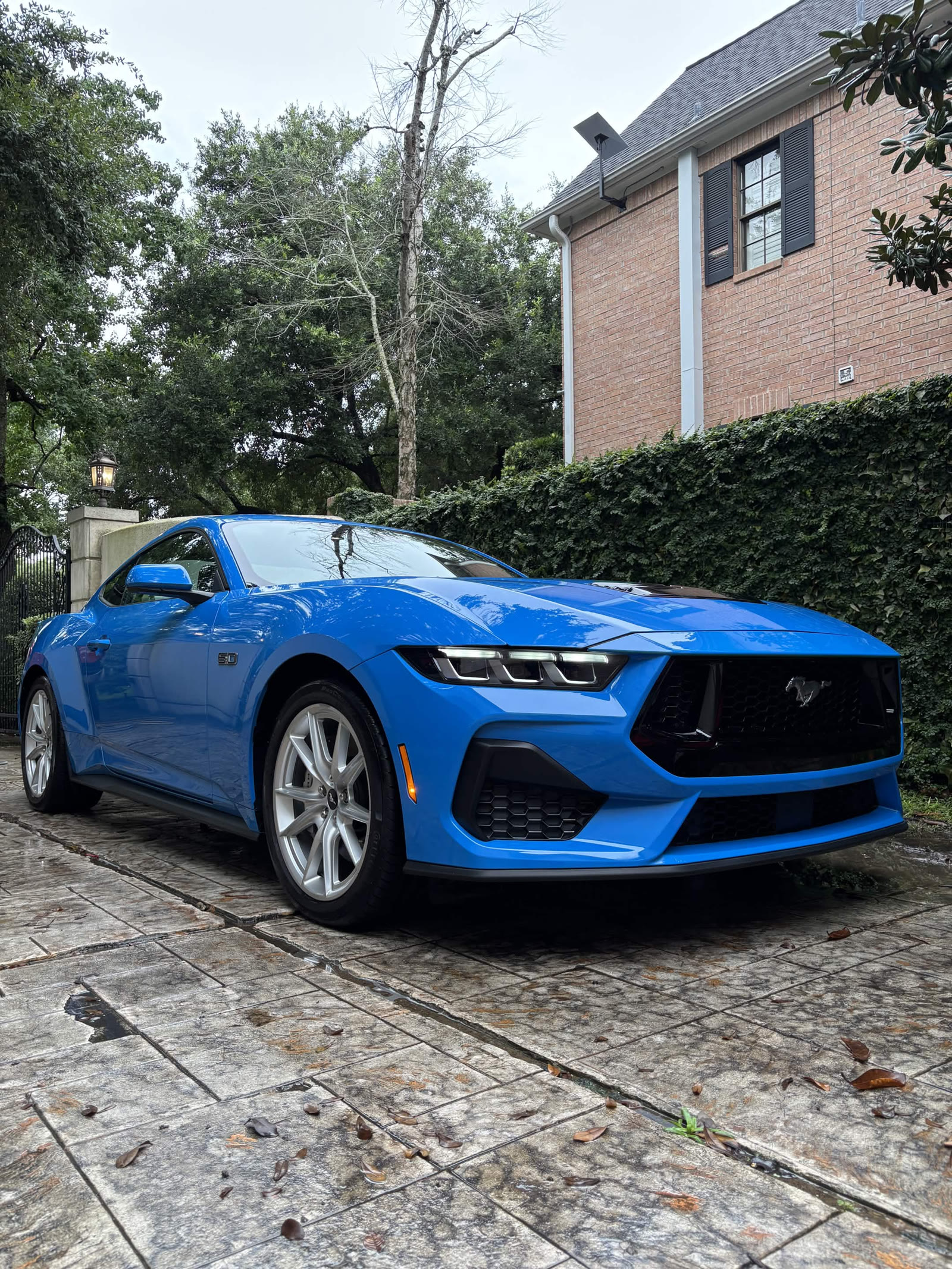 Blue Ford Mustang GT front three-quarter after detailing